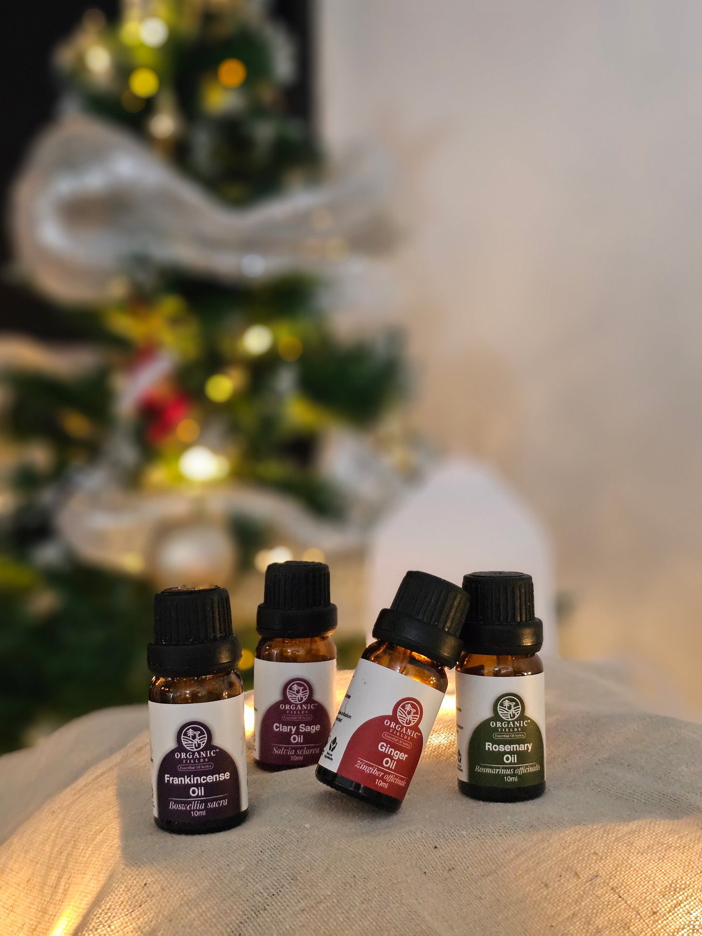 Christmas Serenity Bundle — Quad Bliss