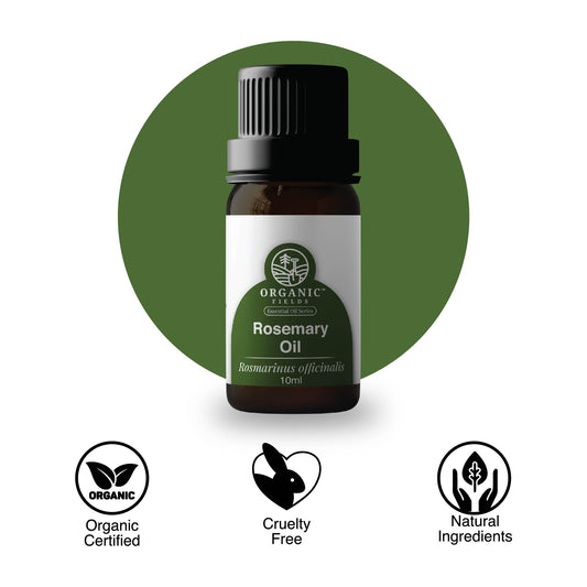 🎁 Organic Rosemary Essential Oil 10ml (100% off)