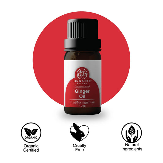 🎁 Organic Ginger Essential Oil 10ml (100% off)