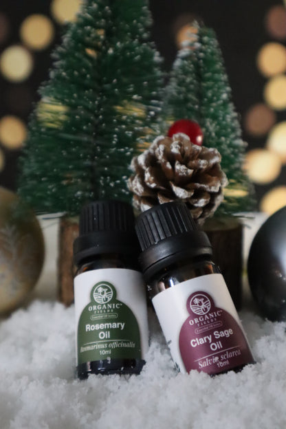 Christmas Serenity Bundle — Duo Harmony