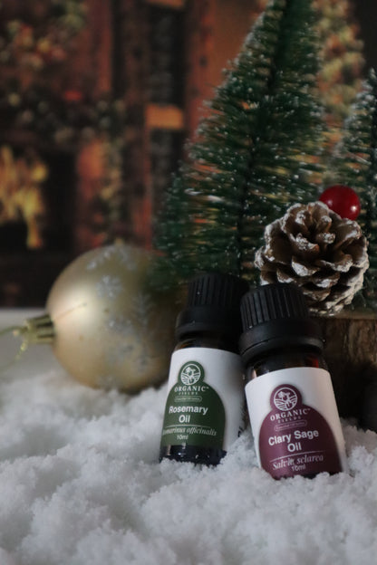 Christmas Serenity Bundle — Duo Harmony