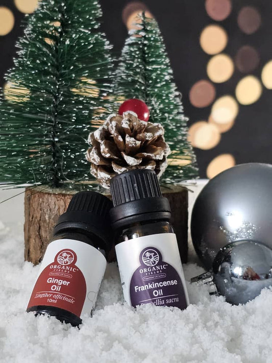 Christmas Serenity Bundle — Duo Harmony